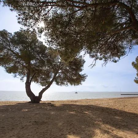 Les Iles Du Soleil-2 By Interhome דירה *